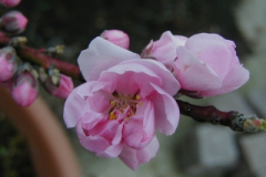 20020101-p4070017